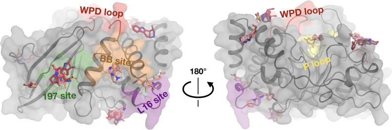 Figure 3—figure supplement 1.