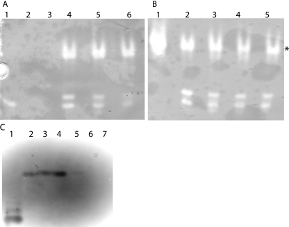 FIG. 5.