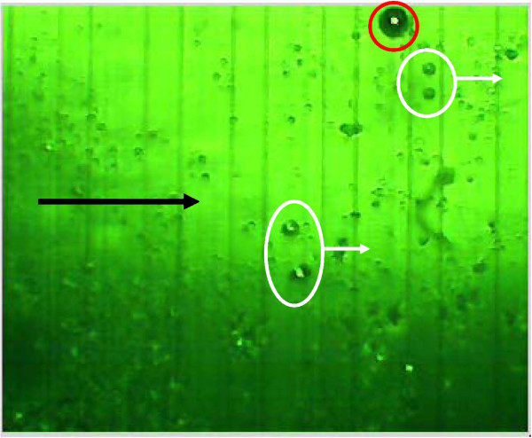 Figure 14 