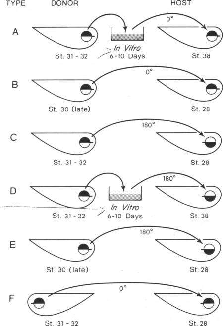 graphic file with name pnas00088-0111-a.jpg