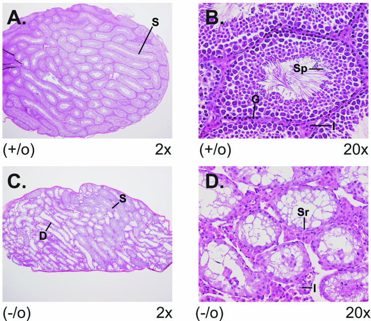 FIG. 9.