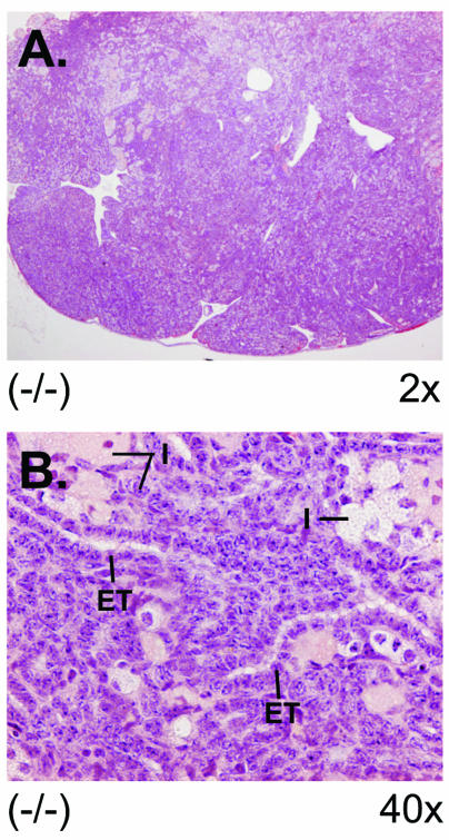 FIG. 8.