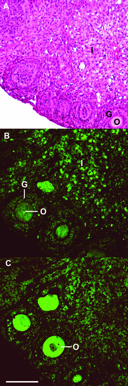 FIG. 10.