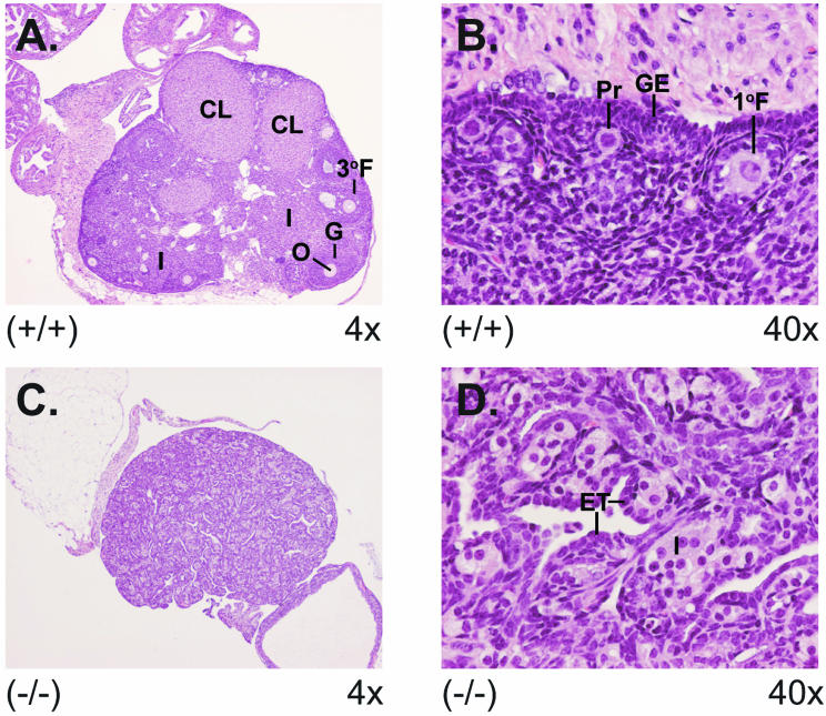 FIG. 7.