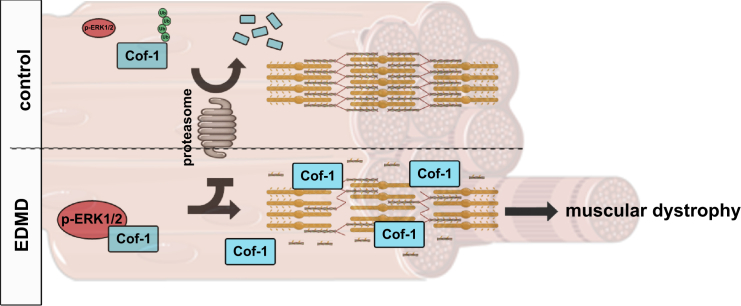 Figure 7