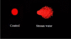 graphic file with name 41598_2023_39050_Figa_HTML.gif