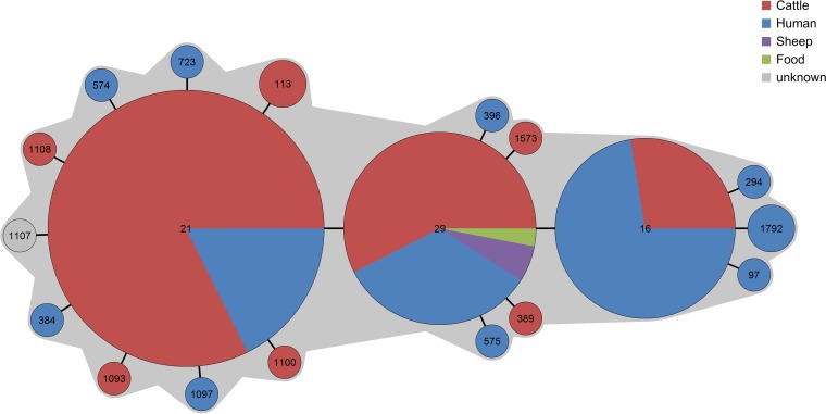 FIG 3