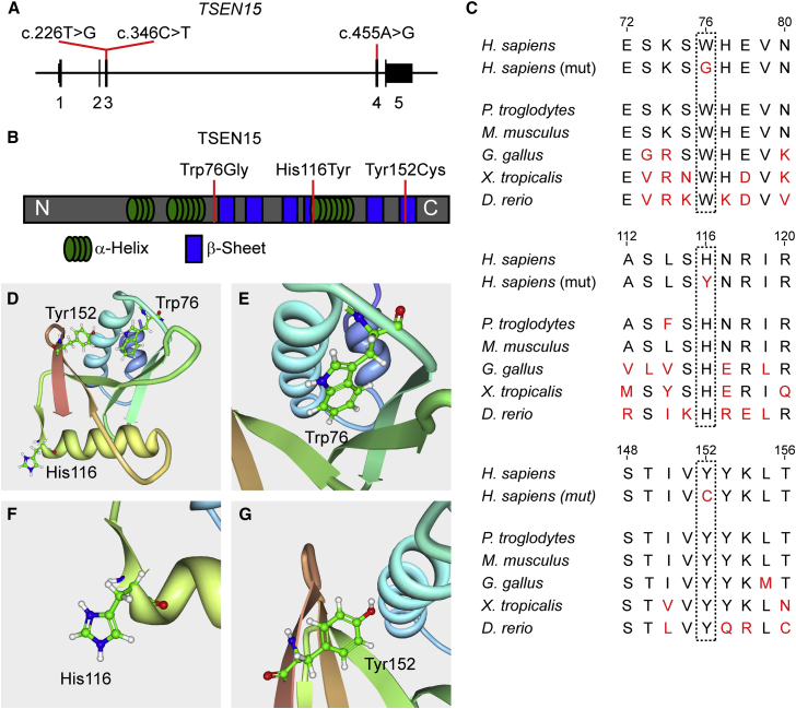 Figure 2