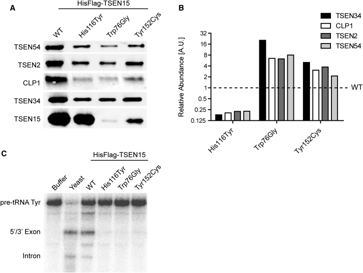 Figure 3