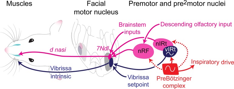 Fig. 6.