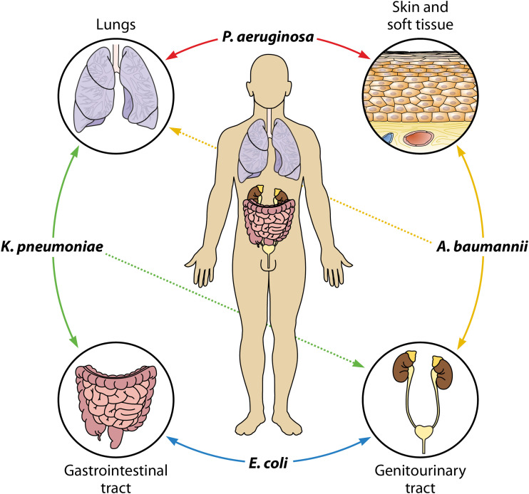 FIG 1