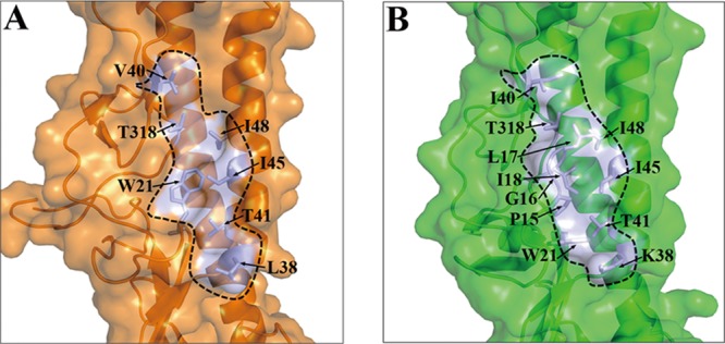 Fig 7