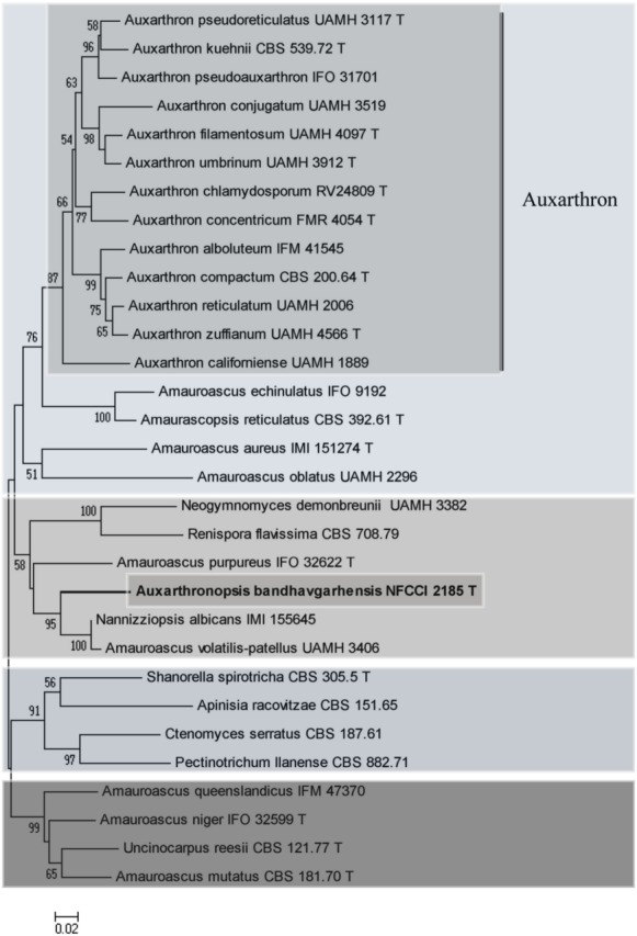 Fig. 6.