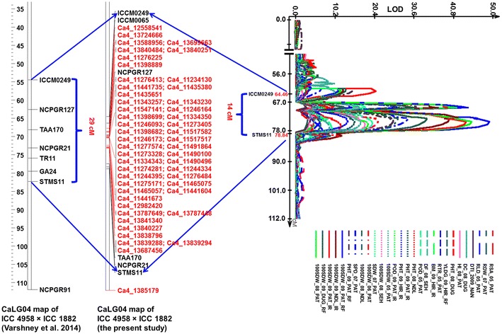 Fig. 2