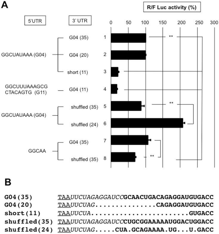 Fig 9