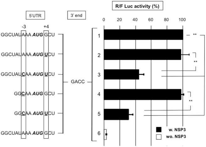 Fig 7