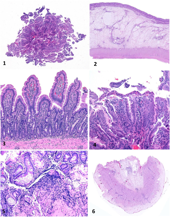 Figures 1–6.