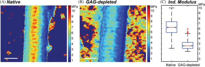 FIGURE 4