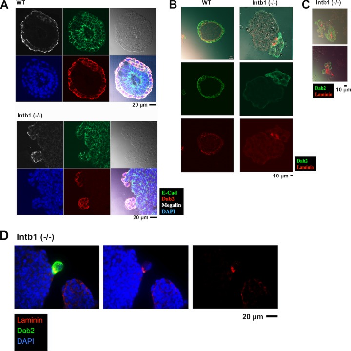 FIG 3