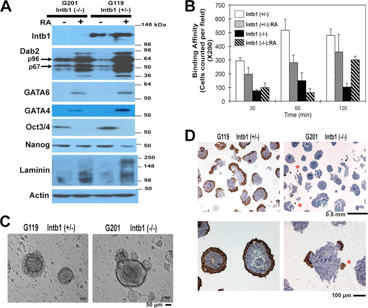 FIG 2