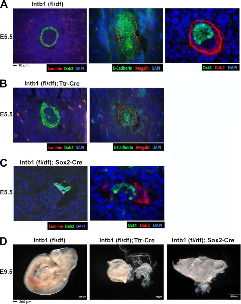 FIG 6