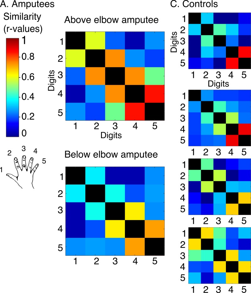 Figure 3—figure supplement 1.