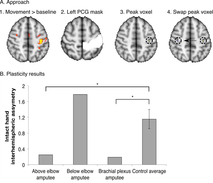 Figure 2—figure supplement 1.