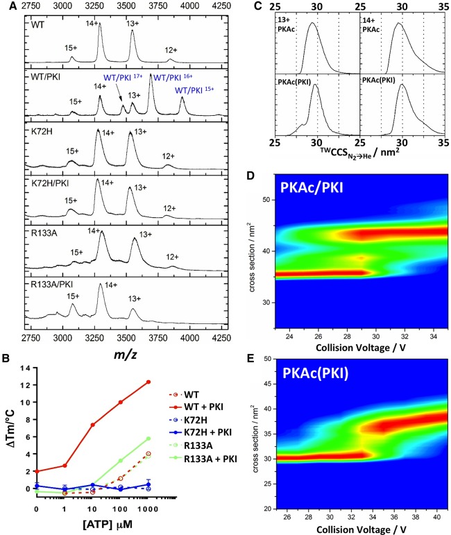 Figure 4.