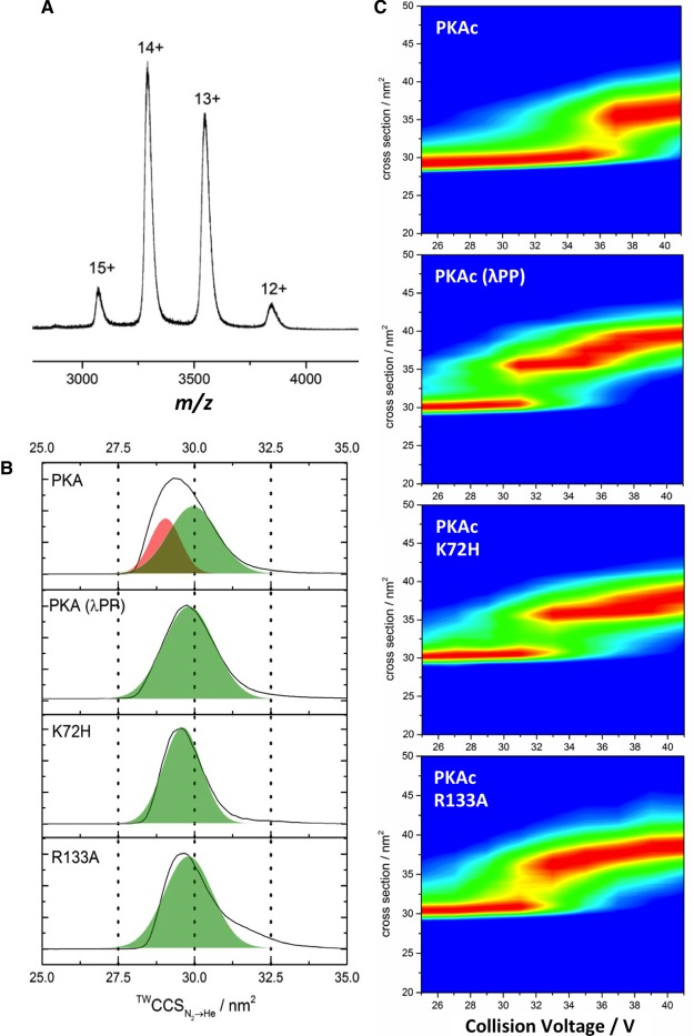 Figure 2.