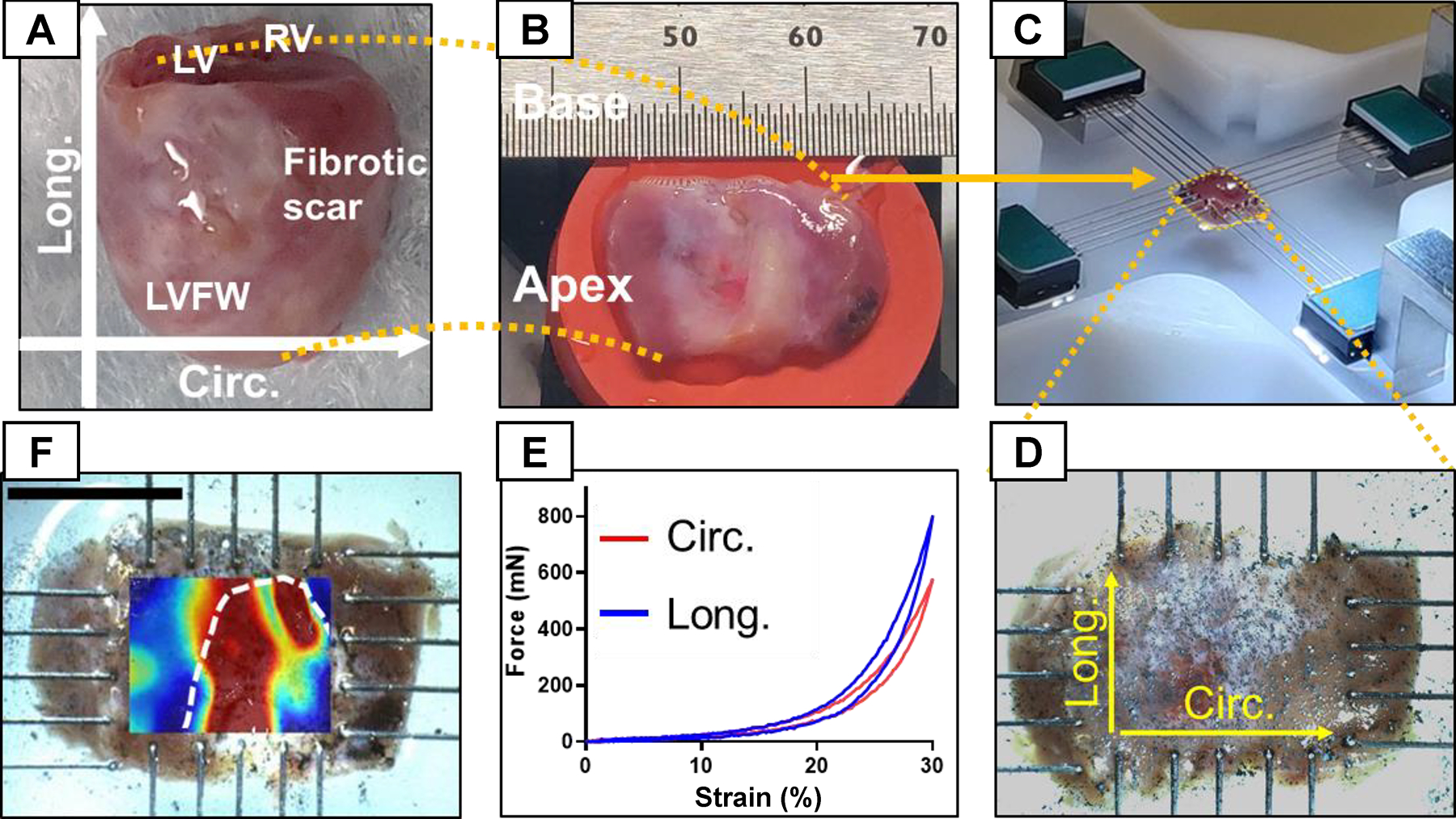 Fig. 2.