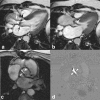 Fig. 8