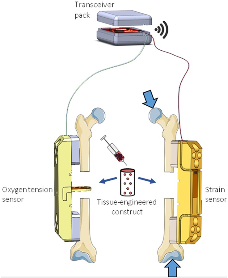 Fig. 2