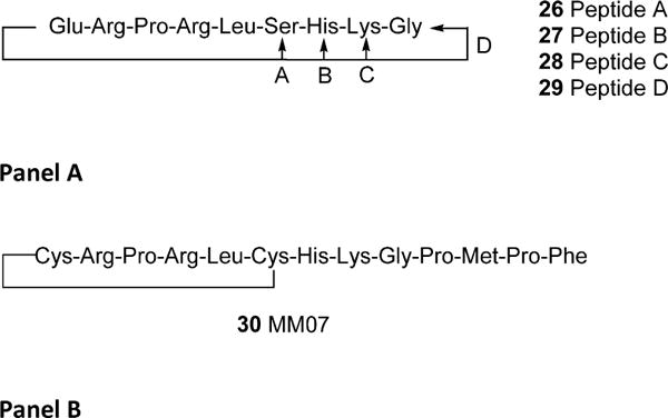 Figure 8