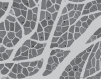Fig.1