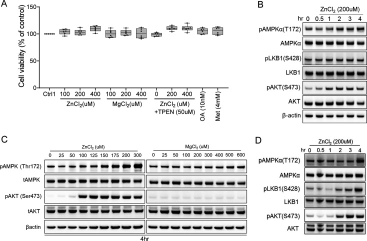 Figure 5—figure supplement 3.