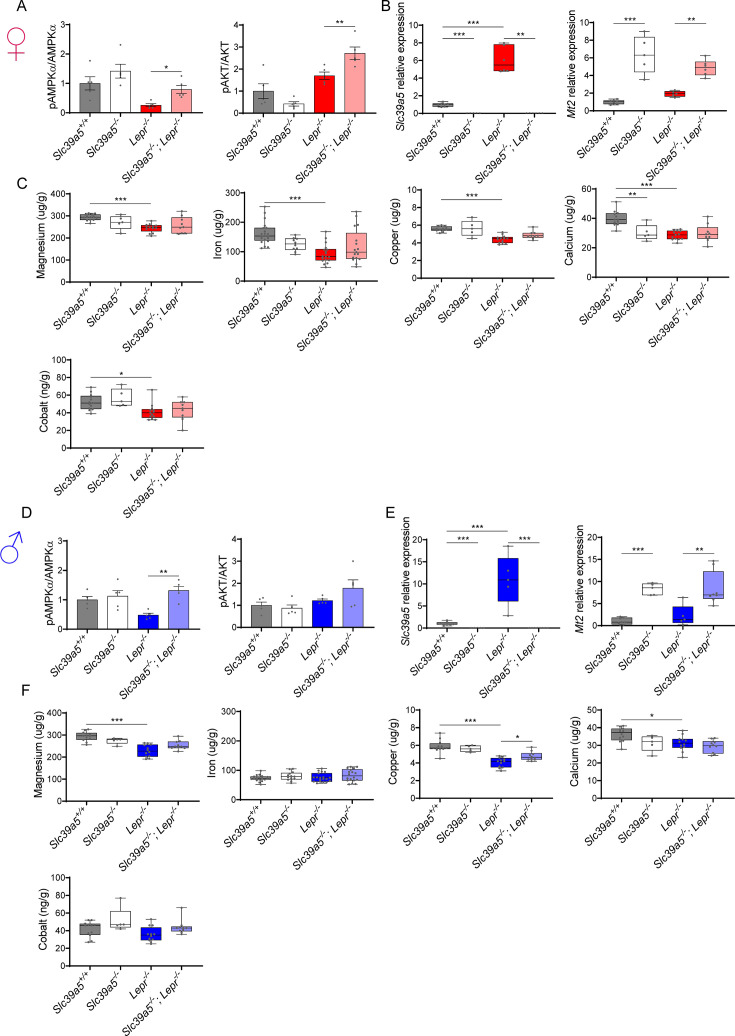 Figure 5—figure supplement 2.