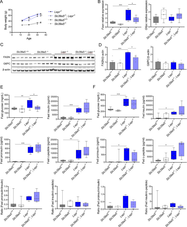 Figure 3—figure supplement 2.