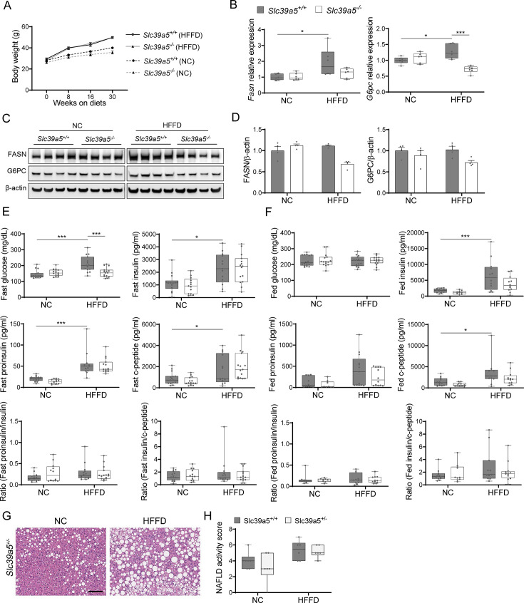 Figure 3—figure supplement 4.