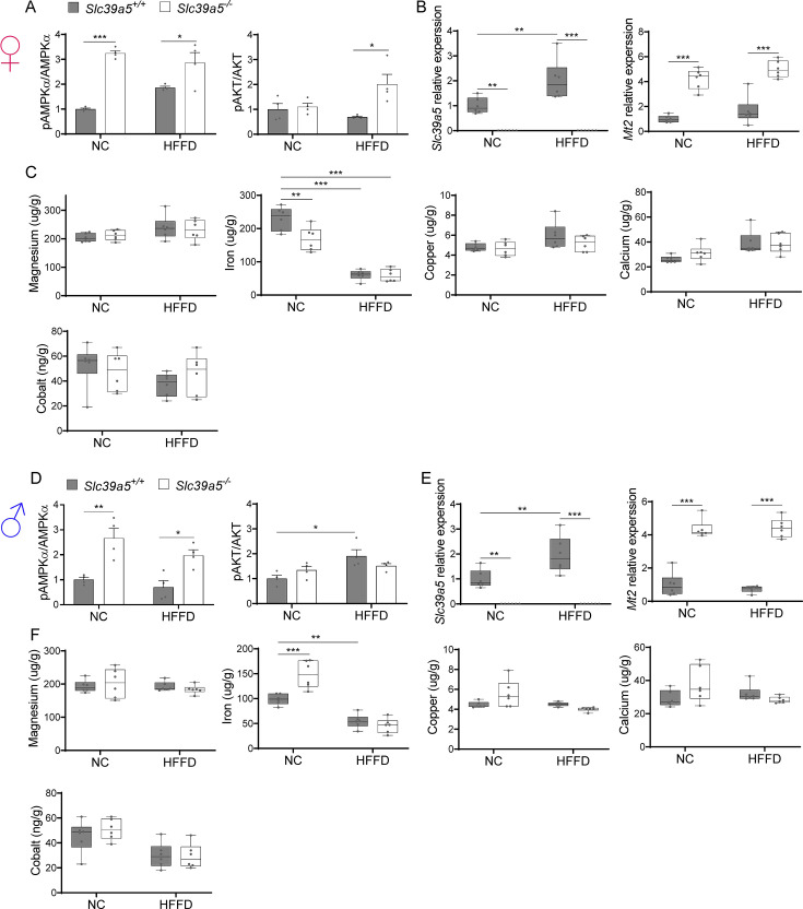 Figure 2—figure supplement 2.