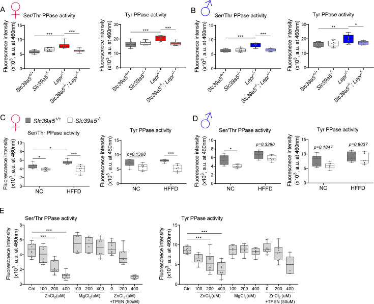 Figure 5—figure supplement 4.