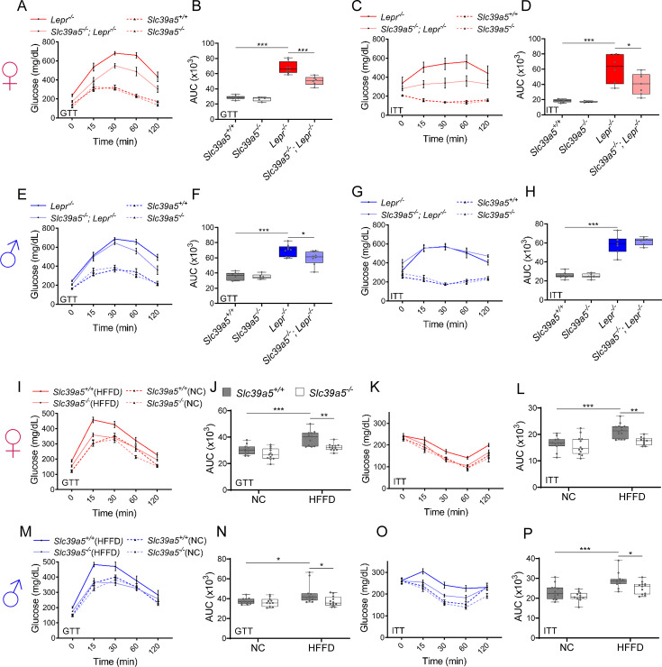 Figure 3—figure supplement 5.