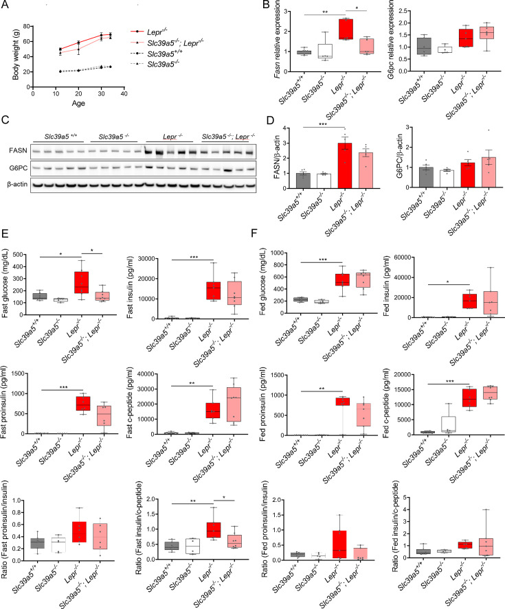 Figure 3—figure supplement 1.