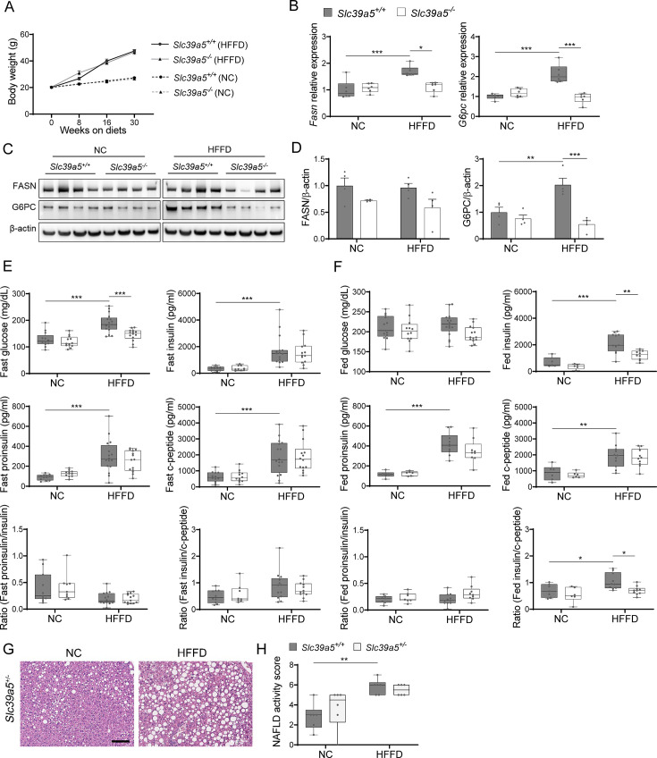 Figure 3—figure supplement 3.