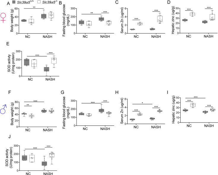 Figure 6—figure supplement 2.