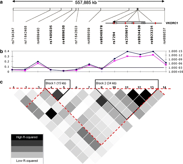 Fig. 2