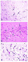 Figure 19