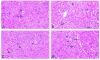 Figure 17
