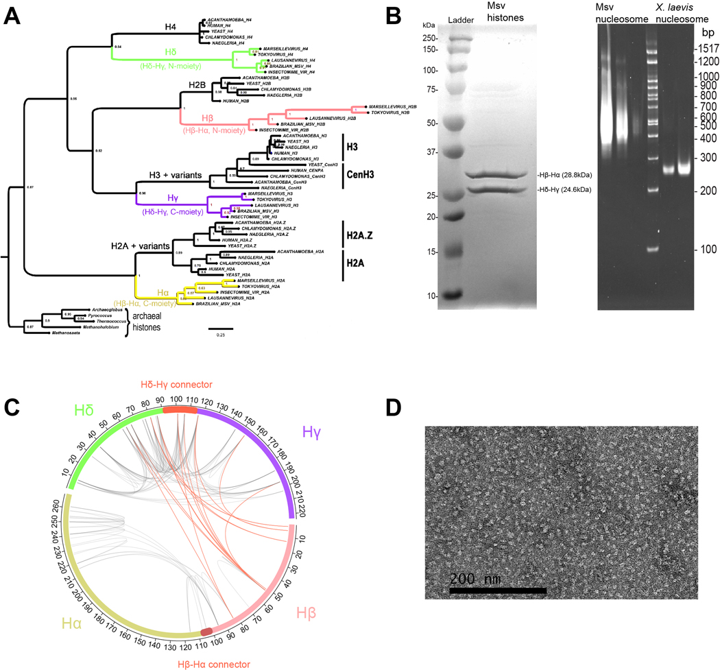 Extended Data Fig. 1