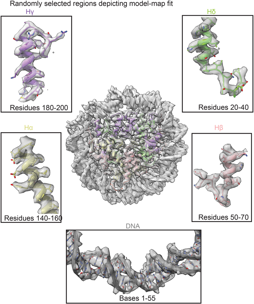 Extended Data Fig. 4