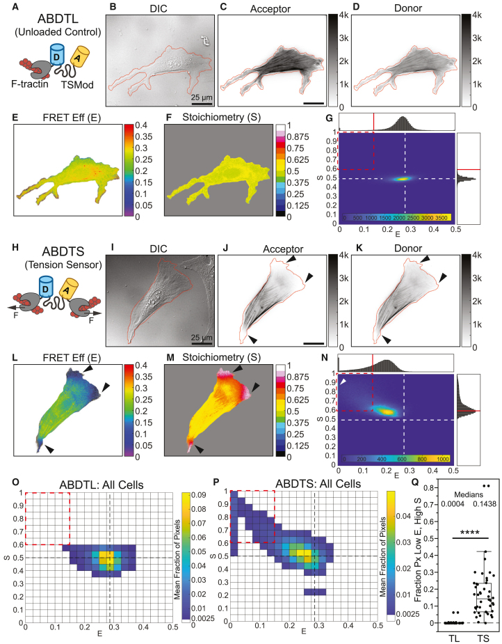 Figure 4